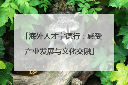 海外人才宁德行：感受产业发展与文化交融