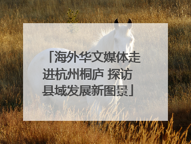 海外华文媒体走进杭州桐庐 探访县域发展新图景