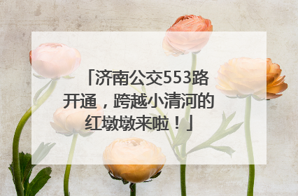济南公交553路开通，跨越小清河的红墩墩来啦！