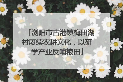 浏阳市古港镇梅田湖村赓续农耕文化，以研学产业反哺粮田