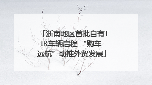 浙南地区首批自有TIR车辆启程 “购车远航”助推外贸发展