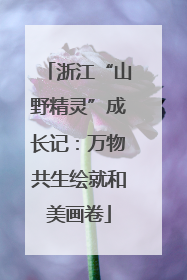浙江“山野精灵”成长记：万物共生绘就和美画卷