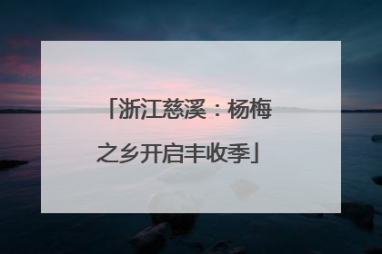 浙江慈溪：杨梅之乡开启丰收季