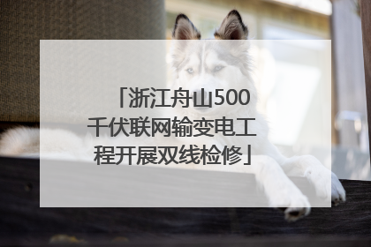 浙江舟山500千伏联网输变电工程开展双线检修