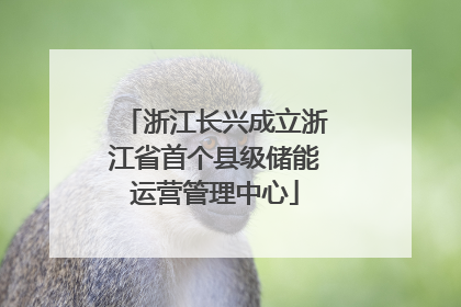 浙江长兴成立浙江省首个县级储能运营管理中心