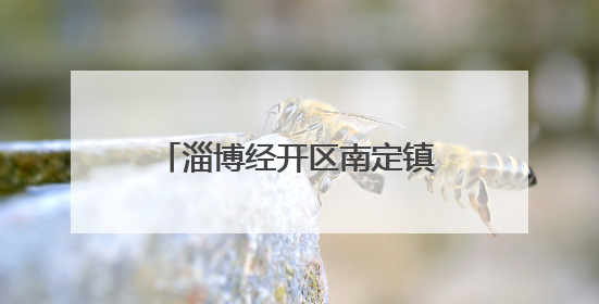 淄博经开区南定镇：暖心助残有温度 携手共绘幸福路
