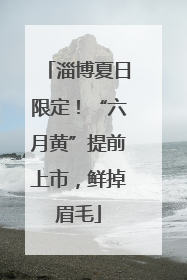 淄博夏日限定！“六月黄”提前上市，鲜掉眉毛