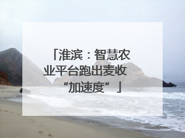 淮滨：智慧农业平台跑出麦收“加速度”