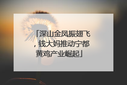 深山金凤振翅飞，钱大妈推动宁都黄鸡产业崛起