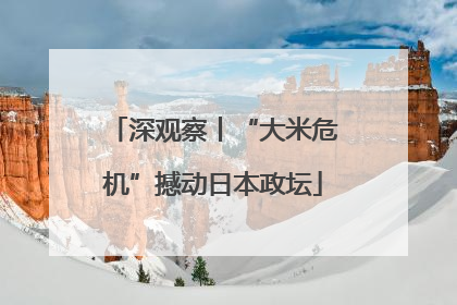 深观察丨“大米危机”撼动日本政坛