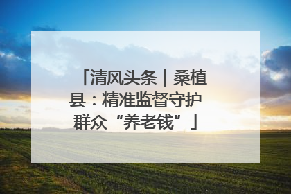 清风头条｜桑植县：精准监督守护群众“养老钱”
