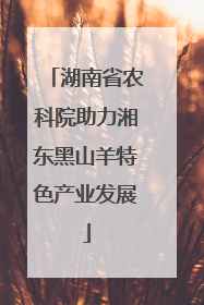 湖南省农科院助力湘东黑山羊特色产业发展