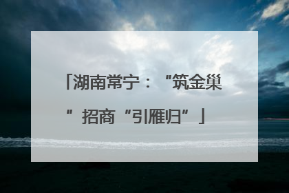 湖南常宁：“筑金巢”招商“引雁归”