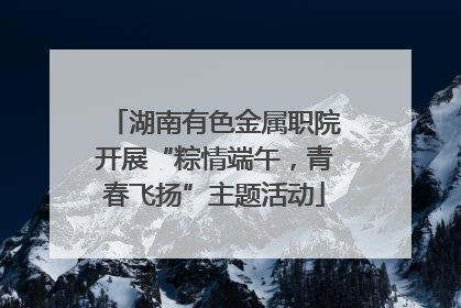 湖南有色金属职院开展“粽情端午，青春飞扬”主题活动