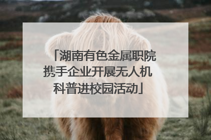 湖南有色金属职院携手企业开展无人机科普进校园活动