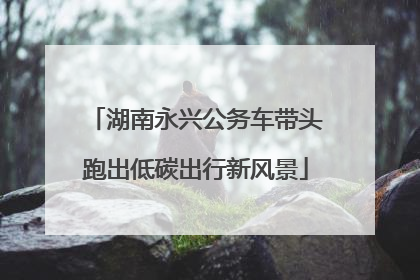 湖南永兴公务车带头跑出低碳出行新风景