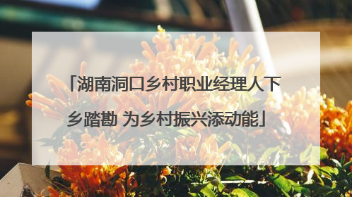 湖南洞口乡村职业经理人下乡踏勘 为乡村振兴添动能