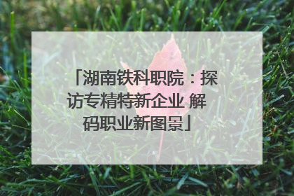 湖南铁科职院：探访专精特新企业 解码职业新图景