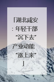 湖北咸安：年轻干部“沉下去” 产业动能“涨上来”