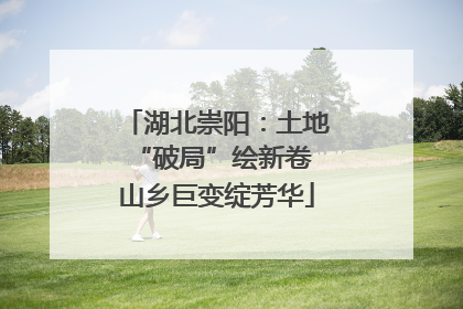 湖北崇阳：土地“破局”绘新卷 山乡巨变绽芳华