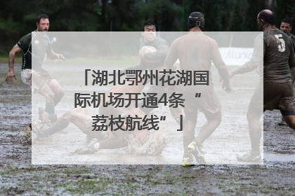湖北鄂州花湖国际机场开通4条“荔枝航线”
