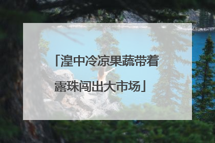 湟中冷凉果蔬带着露珠闯出大市场