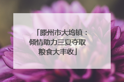 滕州市大坞镇：倾情助力三夏夺取粮食大丰收