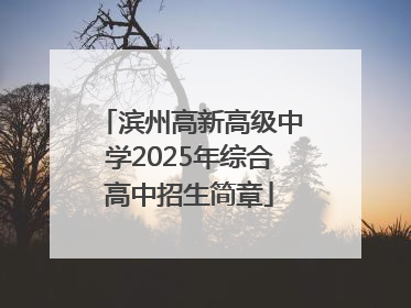 滨州高新高级中学2025年综合高中招生简章