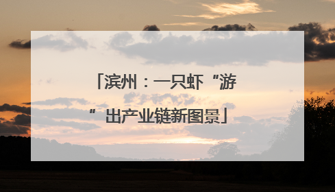 滨州：一只虾“游”出产业链新图景