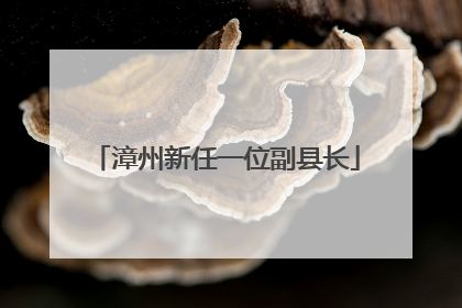 漳州新任一位副县长