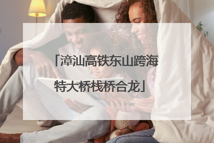 漳汕高铁东山跨海特大桥栈桥合龙