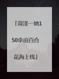 菏泽一地150余亩百合花海上线