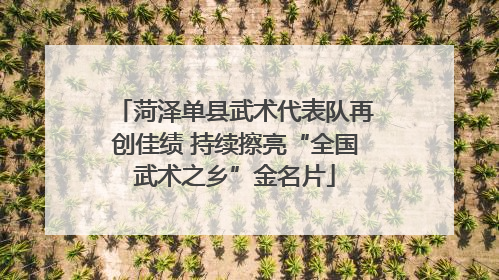 菏泽单县武术代表队再创佳绩 持续擦亮“全国武术之乡”金名片