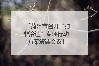 菏泽市召开“打非治违”专项行动方案解读会议