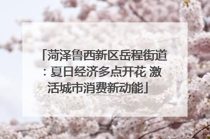 菏泽鲁西新区岳程街道：夏日经济多点开花 激活城市消费新动能