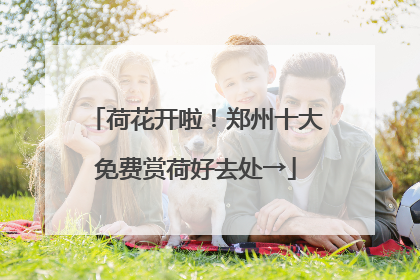 荷花开啦！郑州十大免费赏荷好去处→