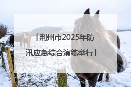 荆州市2025年防汛应急综合演练举行