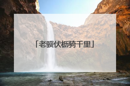 老骥伏枥骑千里