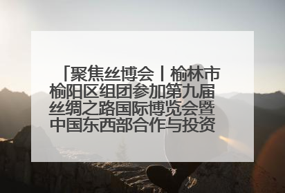 聚焦丝博会丨榆林市榆阳区组团参加第九届丝绸之路国际博览会暨中国东西部合作与投资贸易洽谈会