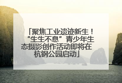 聚焦工业遗迹新生！“生生不息”青少年生态摄影创作活动即将在杭钢公园启动