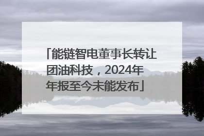 能链智电董事长转让团油科技，2024年年报至今未能发布