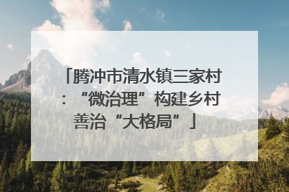腾冲市清水镇三家村：“微治理”构建乡村善治“大格局”