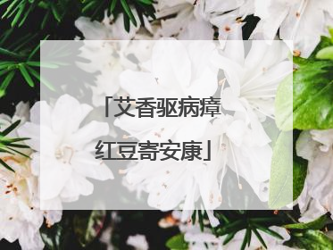艾香驱病瘴 红豆寄安康