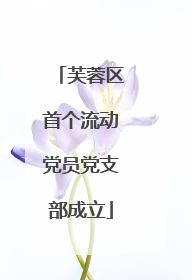 芙蓉区首个流动党员党支部成立