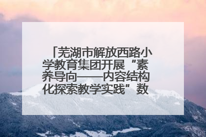芜湖市解放西路小学教育集团开展“素养导向——内容结构化探索教学实践”数学专题研讨活动