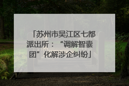 苏州市吴江区七都派出所：“调解智囊团”化解涉企纠纷