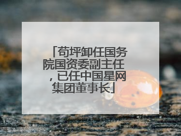 苟坪卸任国务院国资委副主任，已任中国星网集团董事长