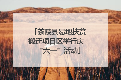 茶陵县易地扶贫搬迁项目区举行庆“六一”活动