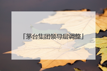 茅台集团领导层调整