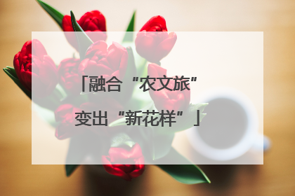 融合“农文旅” 变出“新花样”